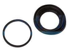 REPARO PINCA DT  BRAVO / DOBLO / LINEA / PALIO / WEEKEND / SIENA / STRADA /