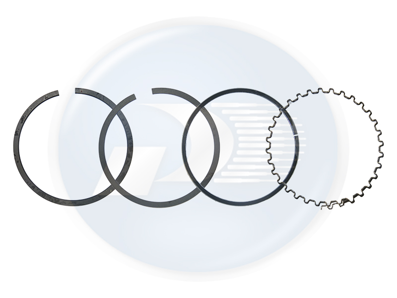 ANEL MOTOR GM 4.3 V6 050 2 X 2 X 4.75MM* <br> BLAZER/S10 - 0194623