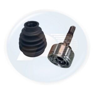 HOMOC CT LR  C3