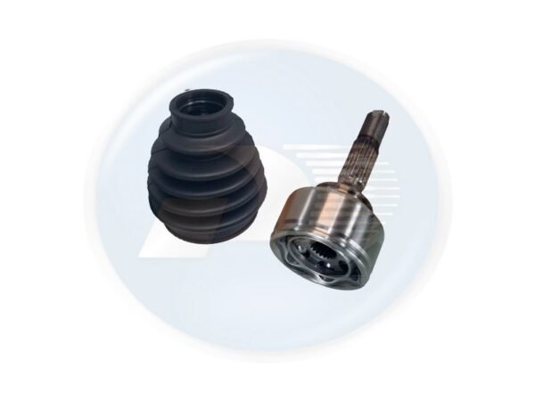 HOMOC CT LR <br> C3