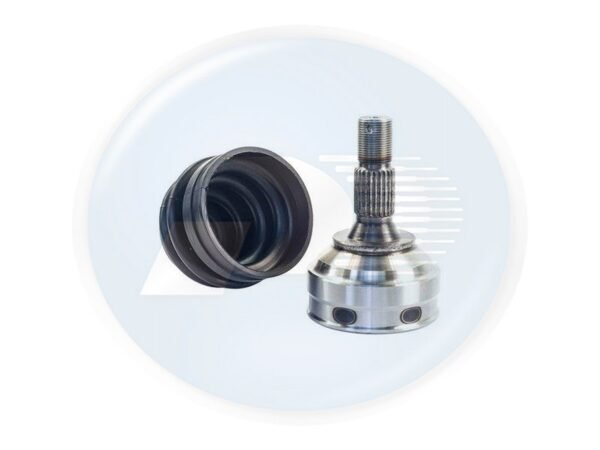HOMOC LR <br> C4 / 307