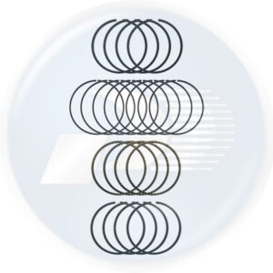 ANEL MOTOR VW STD  PASSAT / GOL / VOYAGE / SANTANA / APOLLO / ESCORT / VERON