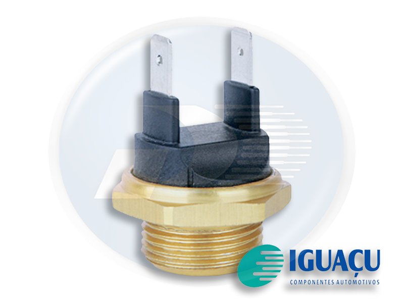 INTERRUPTOR RADIADOR PG 82-68G <br> 207 - 0407955