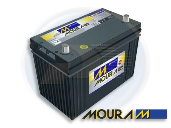 BATERIA 80 AH RODA C/TROCA 20K <br> 504 / 605 / 807 / 3008 / 607 / TUCSON / SANT