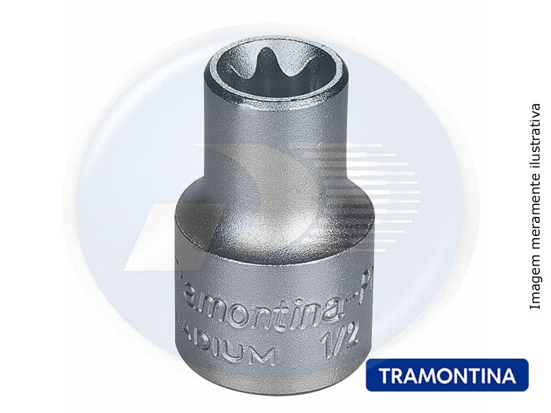 SOQUETE ENCAIXE 1/2 PONTA TRAFIX FEMEA E14 <br> SOQUETE ENCAIXE 1 / 2. PONTA TRA