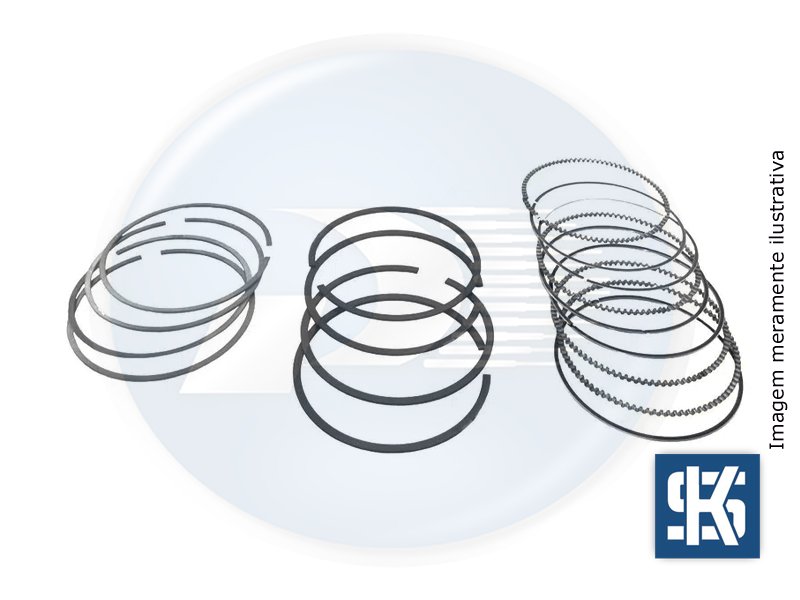 ANEL MOTOR GM 2.0 8V 050 FLEX <br>