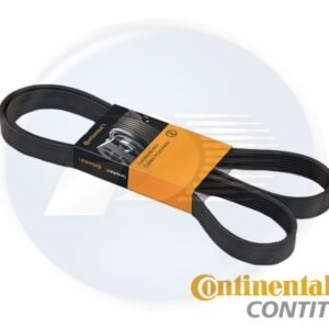 CORREIA MICRO V  C4 / C5 / C8 / PICASSO / ECOSPORT / ESCORT / FIESTA / COURI
